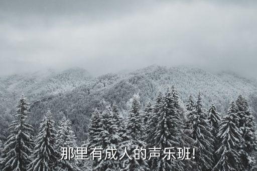 成人学唱歌的培训班 福田,深圳成人学唱歌培训班哪个好