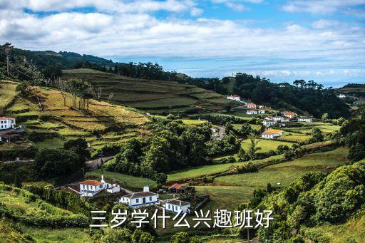 三岁学什么兴趣班好