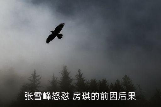 张雪峰怒怼 房琪的前因后果
