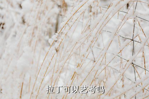  拉丁可以艺考吗