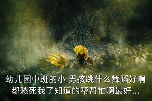幼儿园中班的小 男孩跳什么舞蹈好啊都愁死我了知道的帮帮忙啊最好...