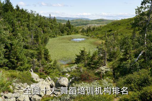 全国十大 舞蹈培训机构排名