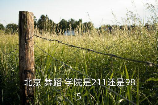  北京 舞蹈 学院是211还是985