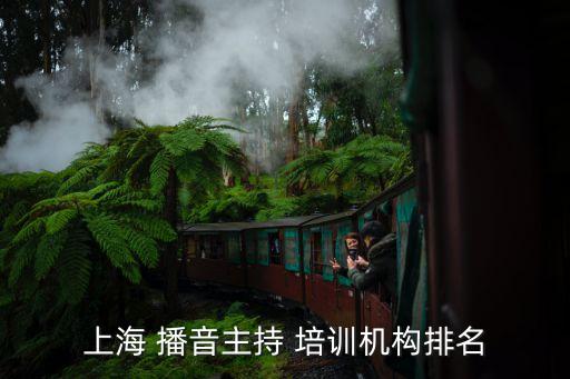 播音配音培训学校哪里的好,学播音主持艺考大概需要多少钱