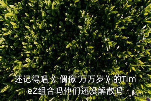 还记得唱《 偶像 万万岁》的TimeZ组合吗他们还没解散吗