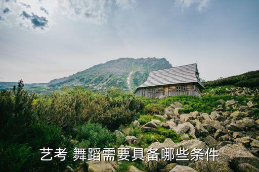 艺考 舞蹈需要具备哪些条件