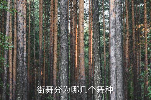 自由舞英语怎么说,街舞自由舞怎么说