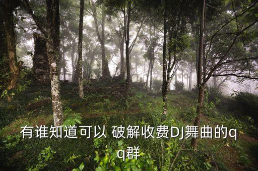 有谁知道可以 破解收费DJ舞曲的qq群
