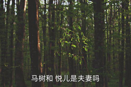 马树和 悦儿是夫妻吗