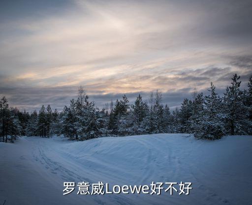  罗意威Loewe好不好