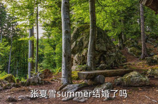 张夏雪summer结婚了吗
