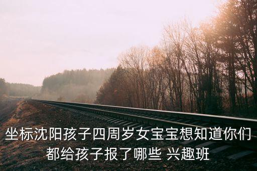 坐标沈阳孩子四周岁女宝宝想知道你们都给孩子报了哪些 兴趣班