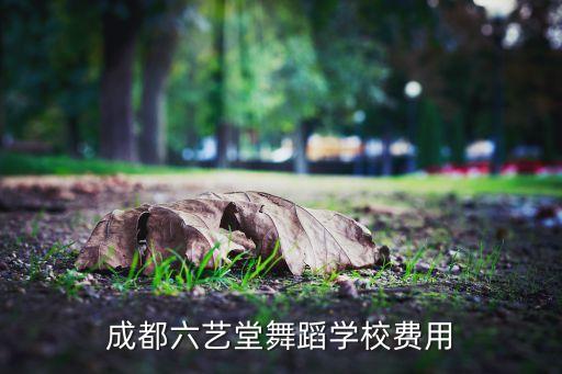 成都六艺堂舞蹈学校费用