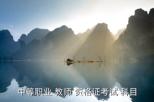 中等职业 教师 资格证考试 科目