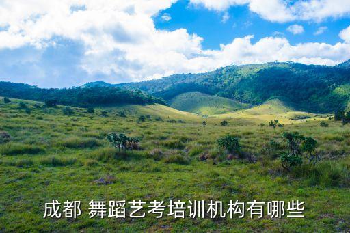成都 舞蹈艺考培训机构有哪些