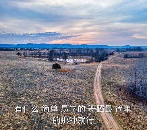 有什么 简单 易学的 舞蹈最 简单的那种就行