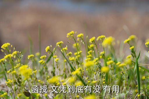 北舞函授文凭有用吗,电大函授大专文凭有用吗