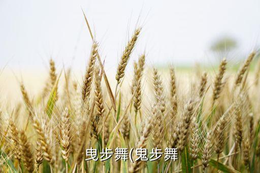  曳步舞(鬼步舞