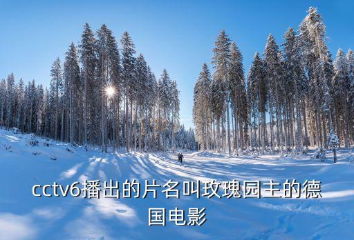cctv6播出的片名叫玫瑰园主的德国电影