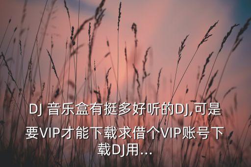 DJ 音乐盒有挺多好听的DJ,可是要VIP才能下载求借个VIP账号下载DJ用...