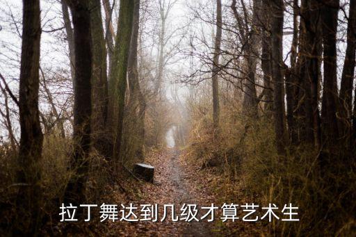  拉丁舞达到几级才算艺术生