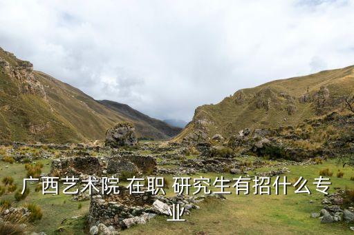 广西艺术院 在职 研究生有招什么专业