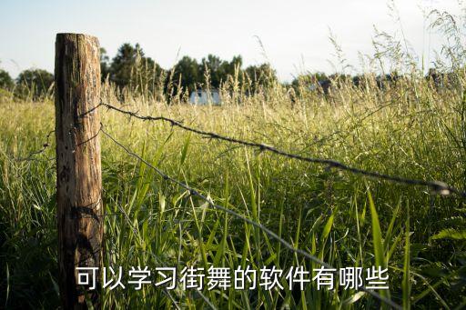 可以学习街舞的软件有哪些