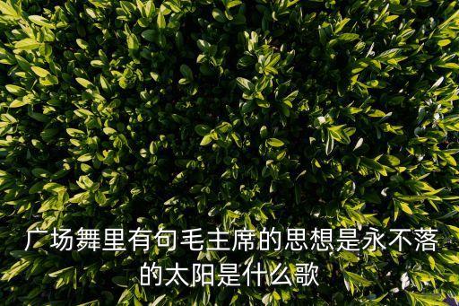  广场舞里有句毛主席的思想是永不落的太阳是什么歌