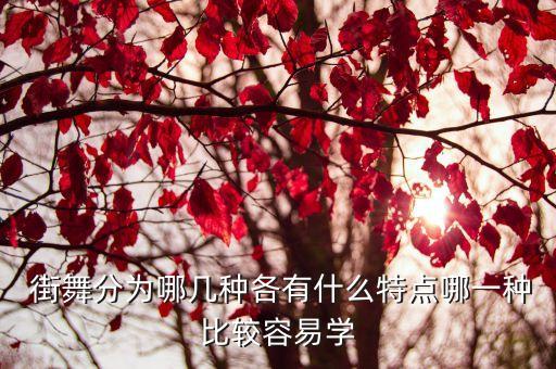  街舞分为哪几种各有什么特点哪一种比较容易学