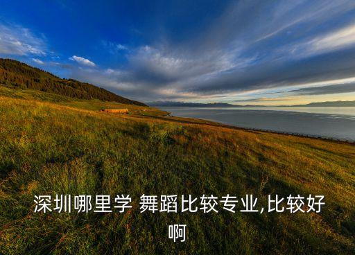  深圳哪里学 舞蹈比较专业,比较好啊