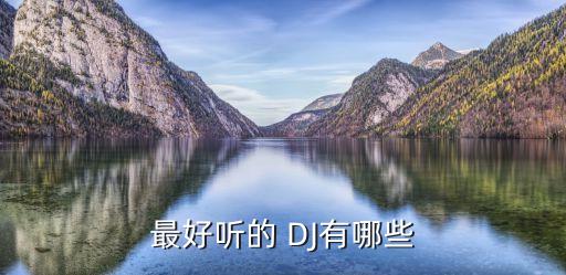 最好听的 DJ有哪些
