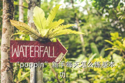 “poppin”新手每天怎么练基本功