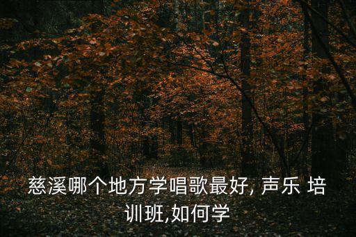 慈溪哪个地方学唱歌最好, 声乐 培训班,如何学