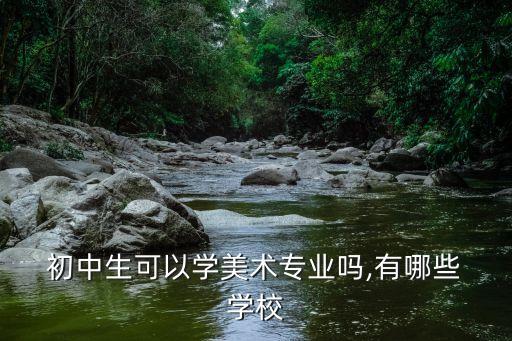 初中开始的艺术学校有哪些,石家庄初中艺术学校有哪些
