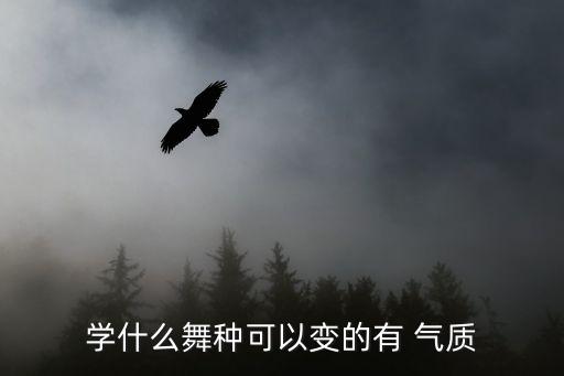 学什么舞种可以变的有 气质