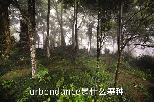 都市编舞属于什么舞,宅舞编舞要注意什么