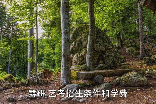 舞研 艺考招生条件和学费