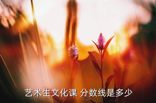 舞蹈艺术生分数,2022年舞蹈艺考生分数线