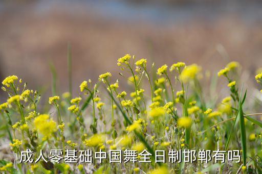 成人零基础中国舞全日制邯郸有吗