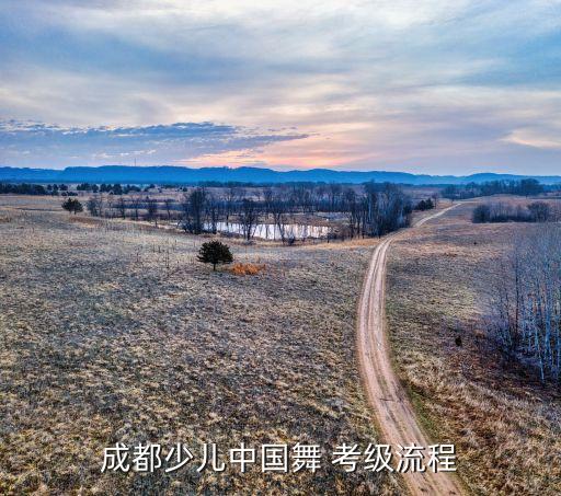 成都少儿中国舞 考级流程