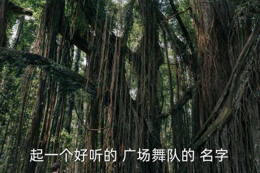 起一个好听的 广场舞队的 名字
