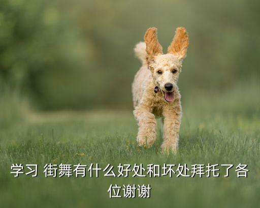 学习 街舞有什么好处和坏处拜托了各位谢谢
