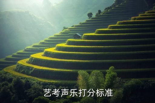 音乐艺考分数线是多少,2022音乐生艺考分数线