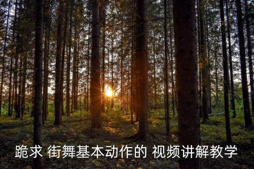 跪求 街舞基本动作的 视频讲解教学
