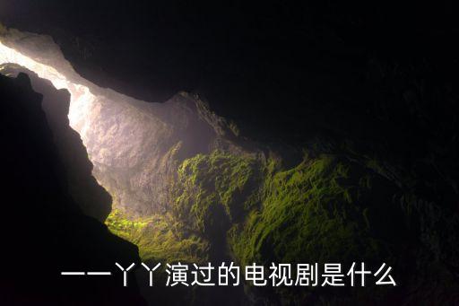 一一丫丫演过的电视剧是什么
