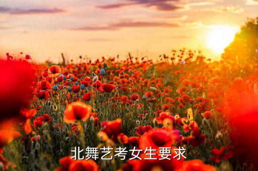 北舞艺考女生要求