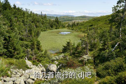 给几首流行的 dj吧
