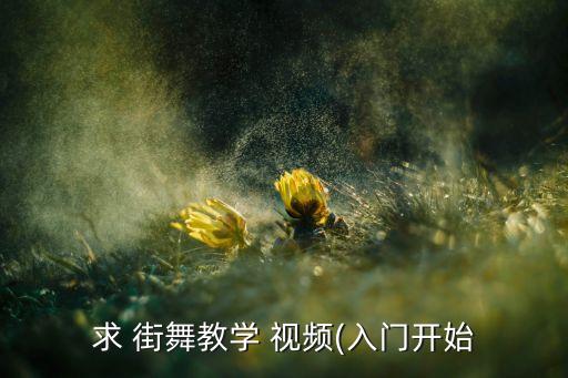 求 街舞教学 视频(入门开始
