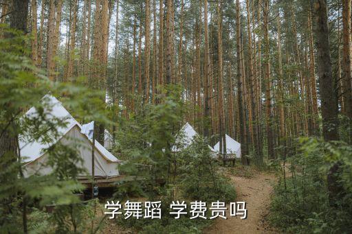 成人古典舞学费一般多少钱,为什么不建议女孩子学中国舞
