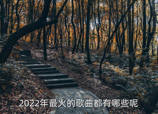 2022年最火的歌曲都有哪些呢
